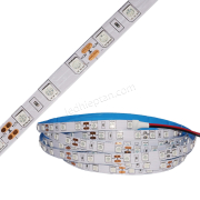LED dây 5050 Dương IP20 cuộn 5m