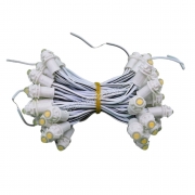 LED F5 12v TRẮNG ẤM