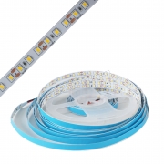 LED dây 3528 WW 120 led IP20 12V 5m/c