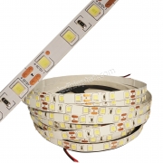 Led dây 5054 trắng 60 led IP20 12V cuộn 5m