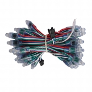 LED ARGB F8 IC8208 12V LL