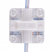 Module 4 bóng 220V bốn lõi (dây 25 bóng) TYY