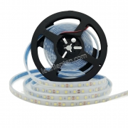 LED dây 5050 12V 60led/m Trắng IP67
