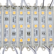 Module 3 bóng 7211 Hồng tim 5054 JS