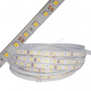 LED dây 5050 WW 60led IP67 12V 5m/c