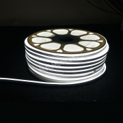 Cuộn LED Neon 220V Trắng 100m 