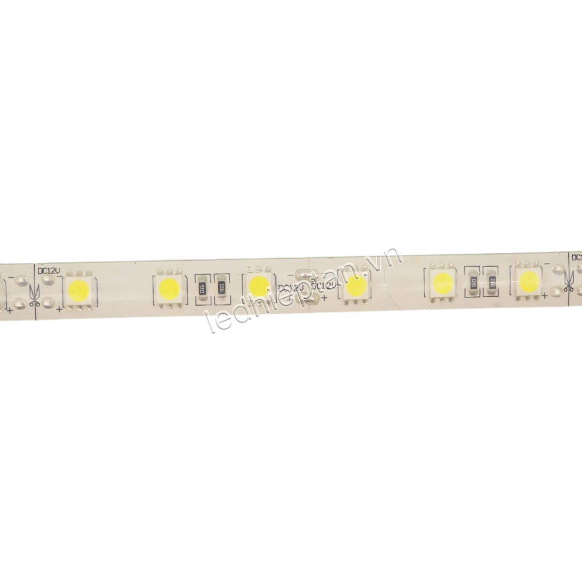 LED dây 5050 trắng IP68
