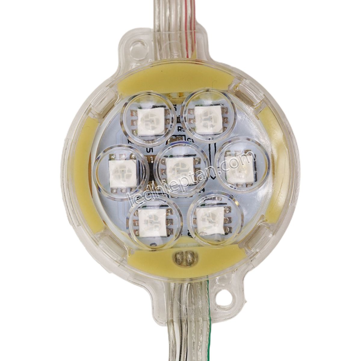 LED bát 50mm IC8206 dây dài 50cm
