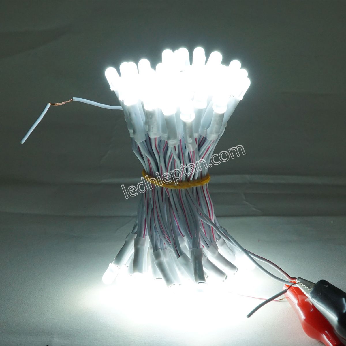 Bịch LED ruồi 12v TRẮNG LR