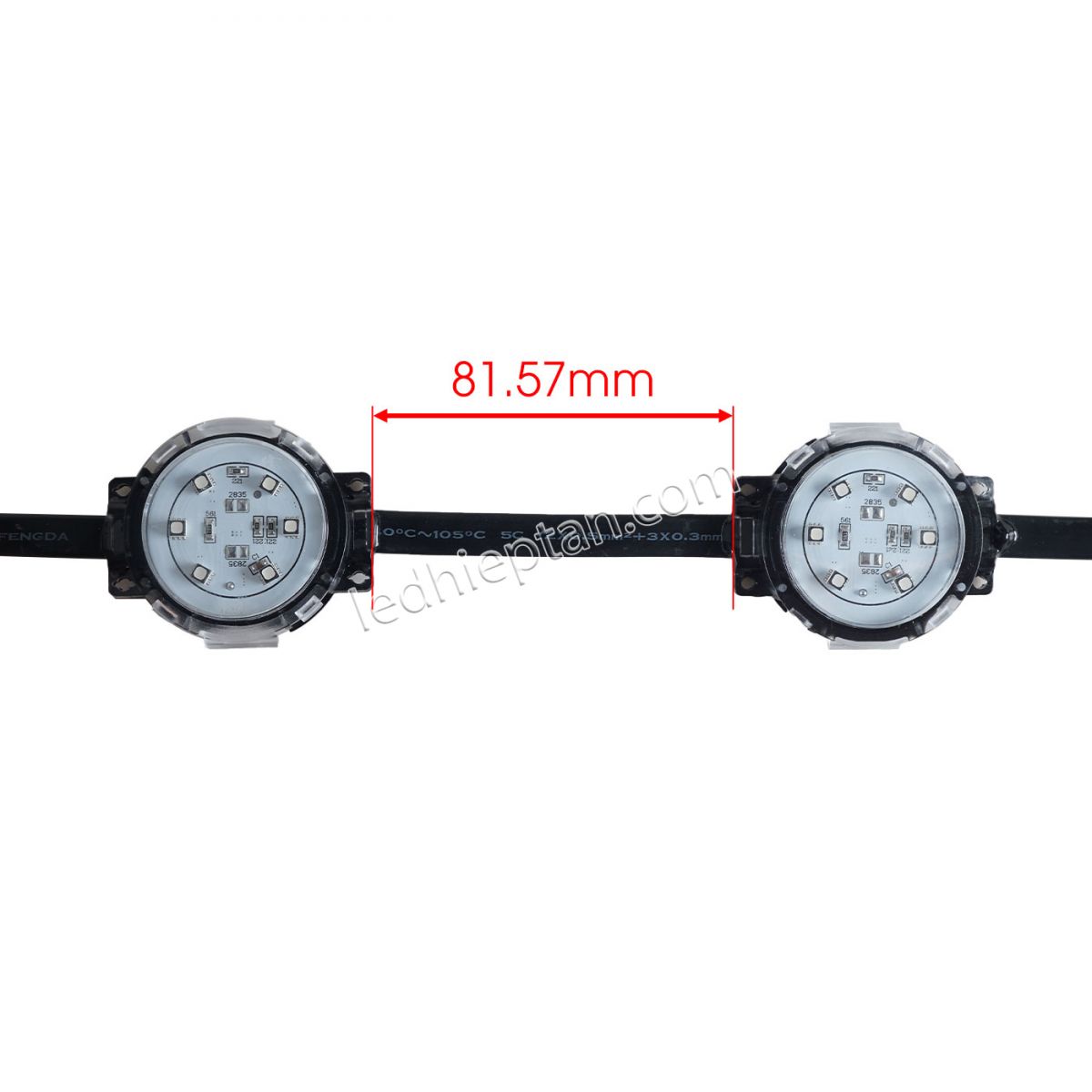 LED bát ARGB IC512 50mm 24V LL