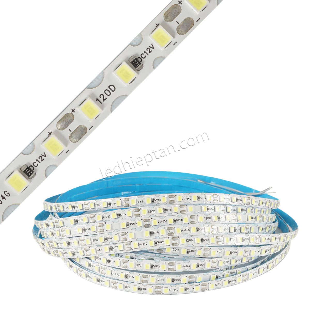 LED dây chữ S 2835 Trắng 10.000K 120LED/m 10m