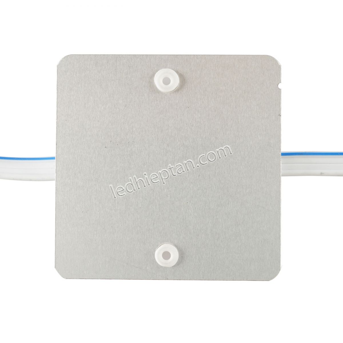 Module 4 bóng 220V ba lõi TYY