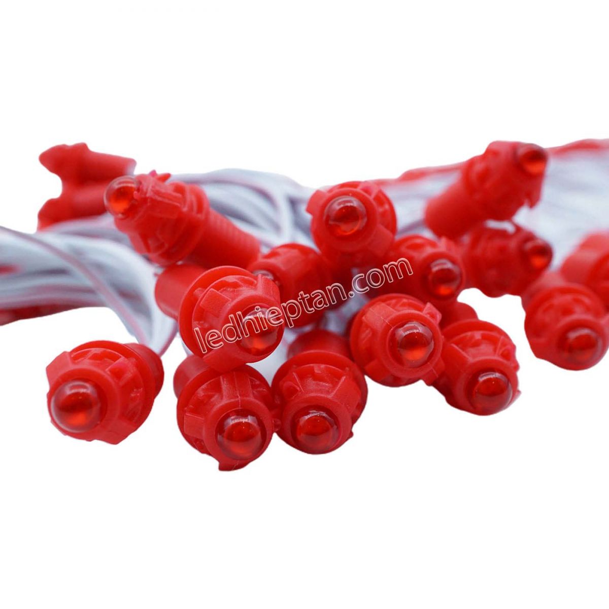 LED F5 12v ĐỎ HC