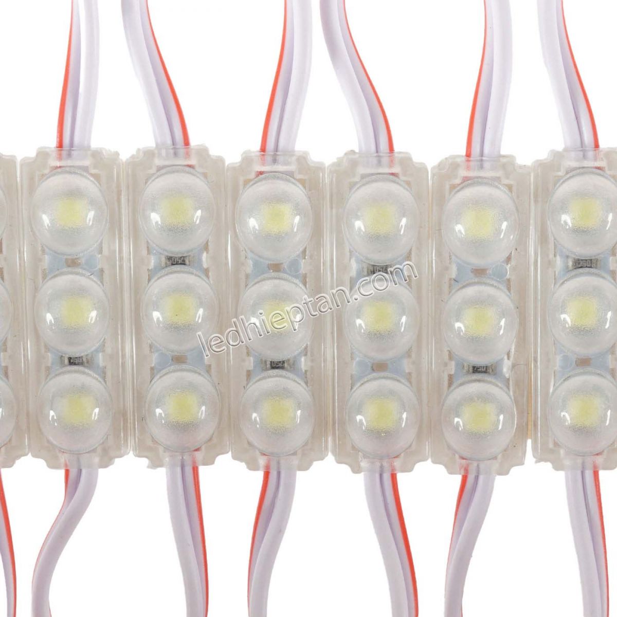 Module 3 bóng-2709-12V JS