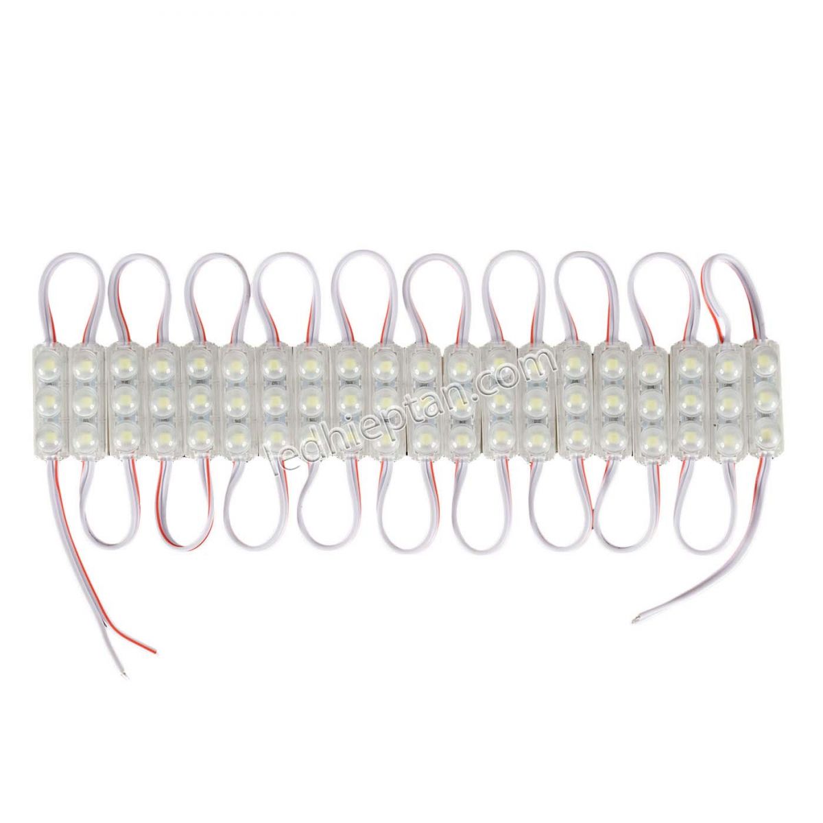 Module 3 bóng-2709-12V JS