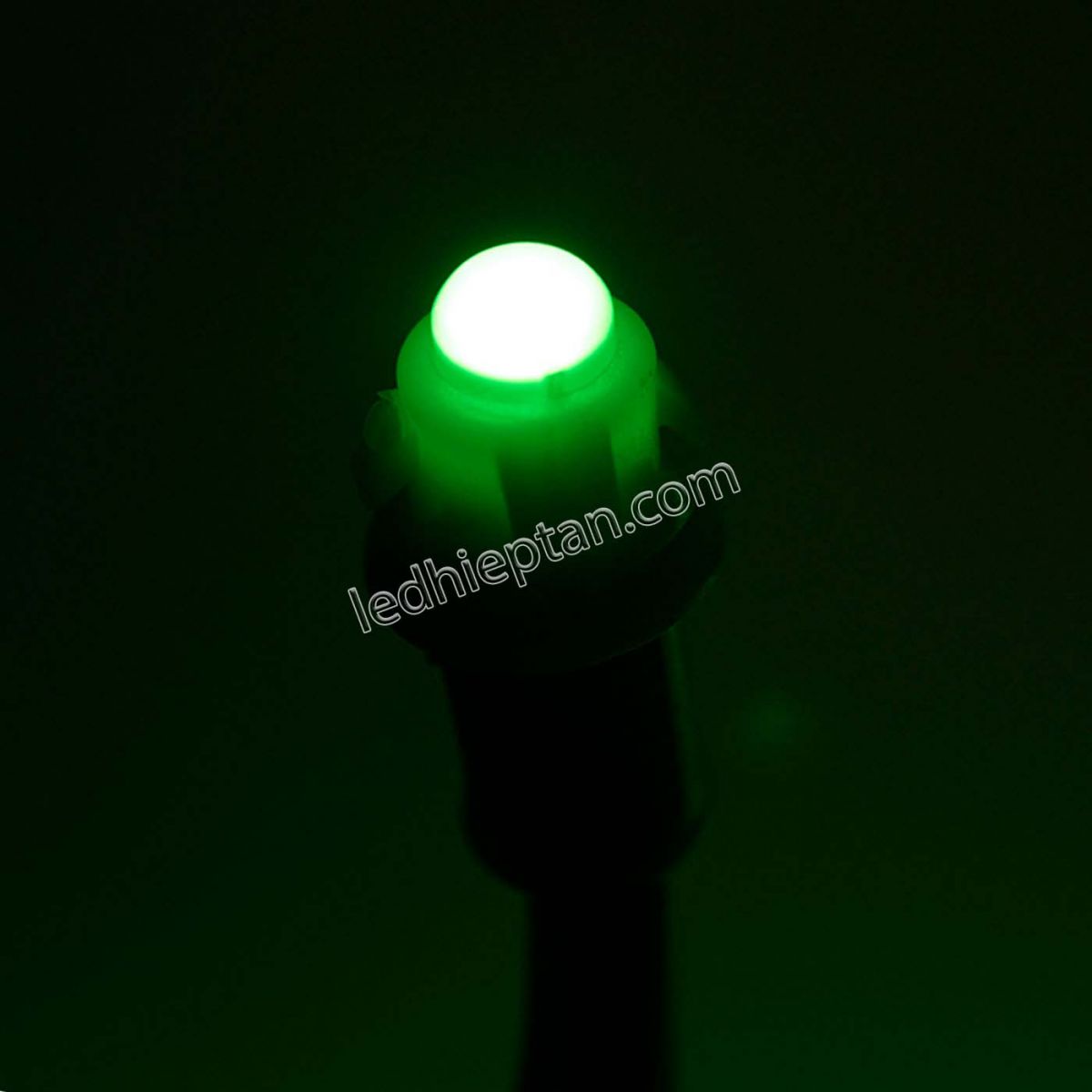 LED F5 12v XANH LÁ HC