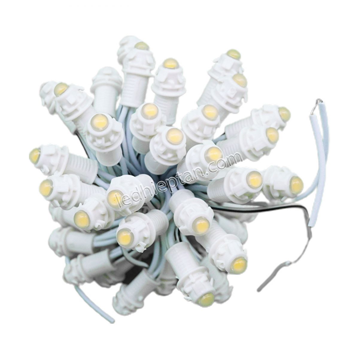 LED F5 12v TRẮNG ẤM