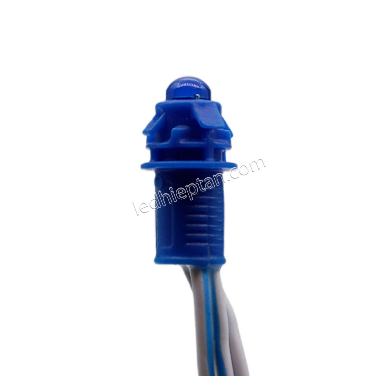 LED F5 12v XANH DƯƠNG HC