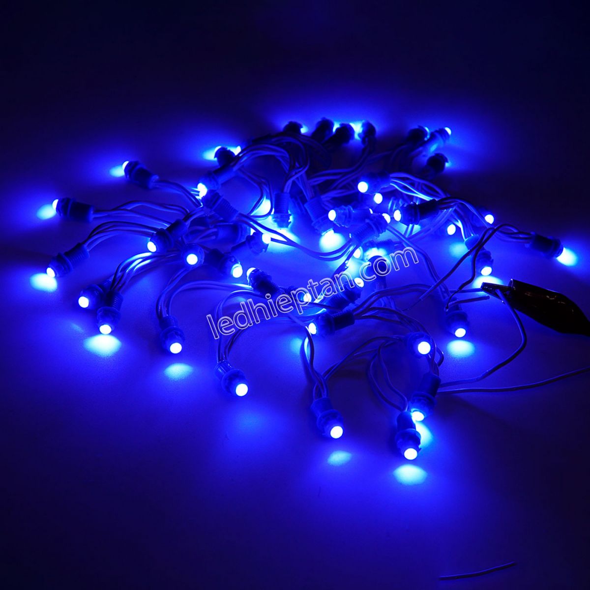 LED F5 12v XANH DƯƠNG HC