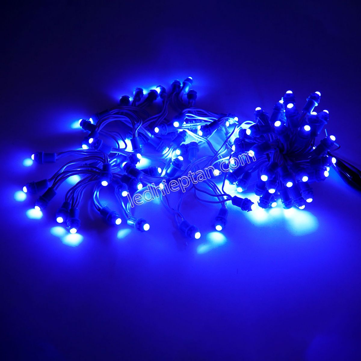 LED F5 12v XANH DƯƠNG HC