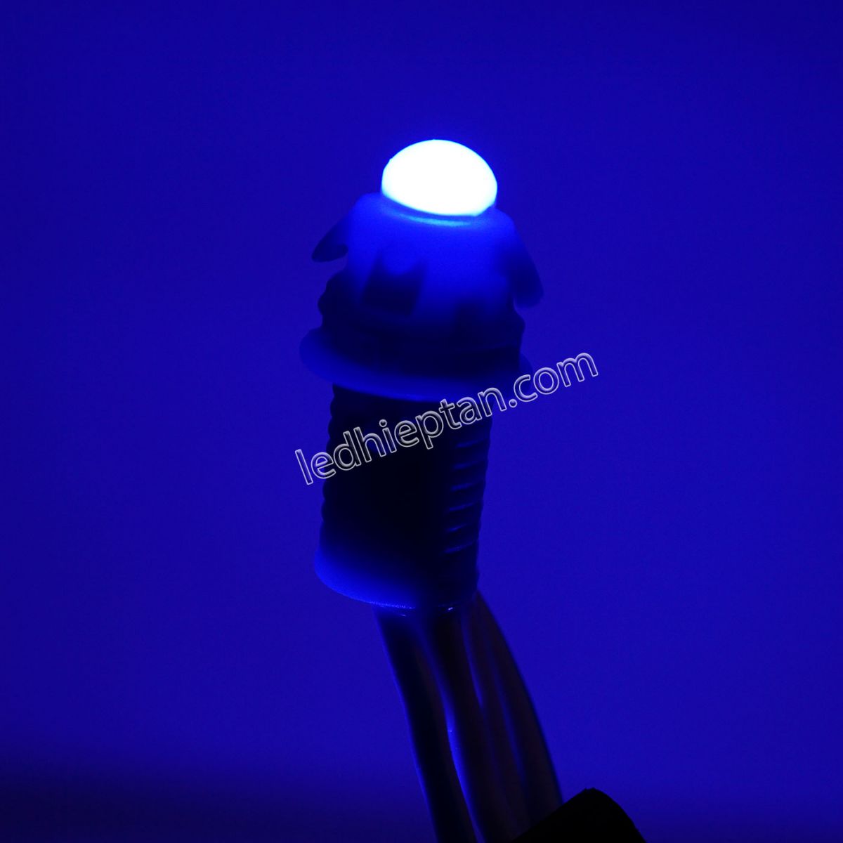 LED F5 12v XANH DƯƠNG HC