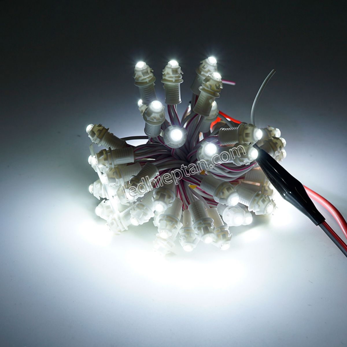 LED F5 12v TRẮNG HC