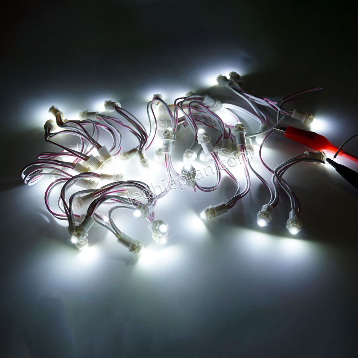 LED F5 12v TRẮNG HC