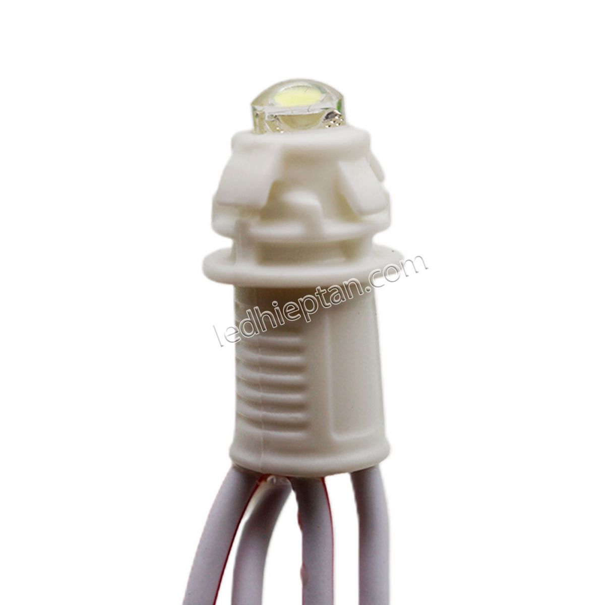 LED F5 12v TRẮNG HC