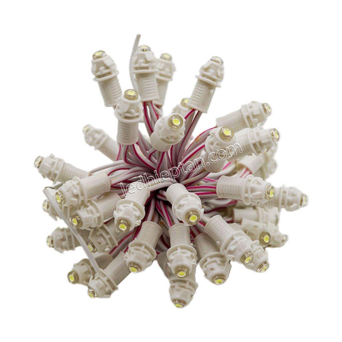 LED F5 12v TRẮNG HC