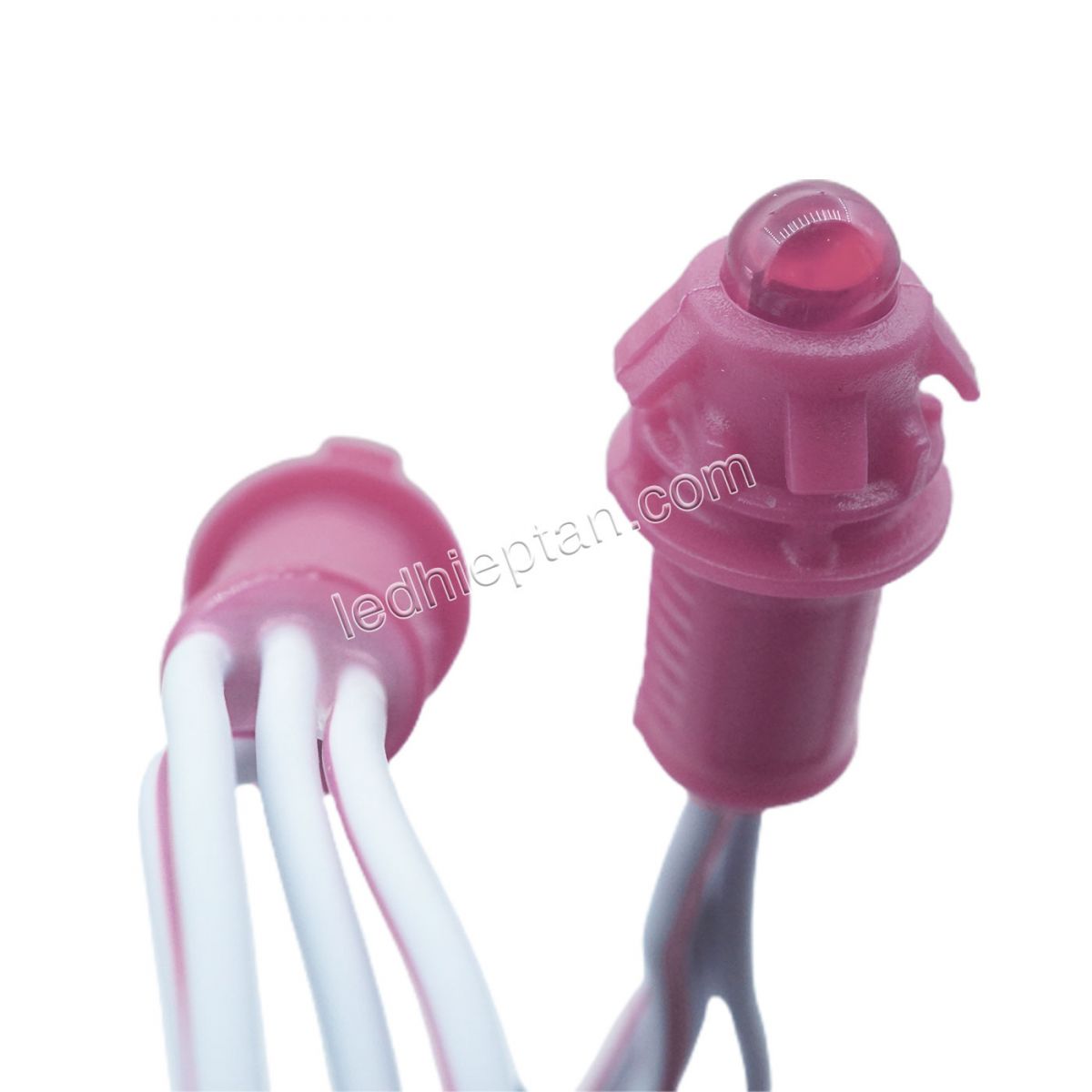 LED F5 12v HC Hồng
