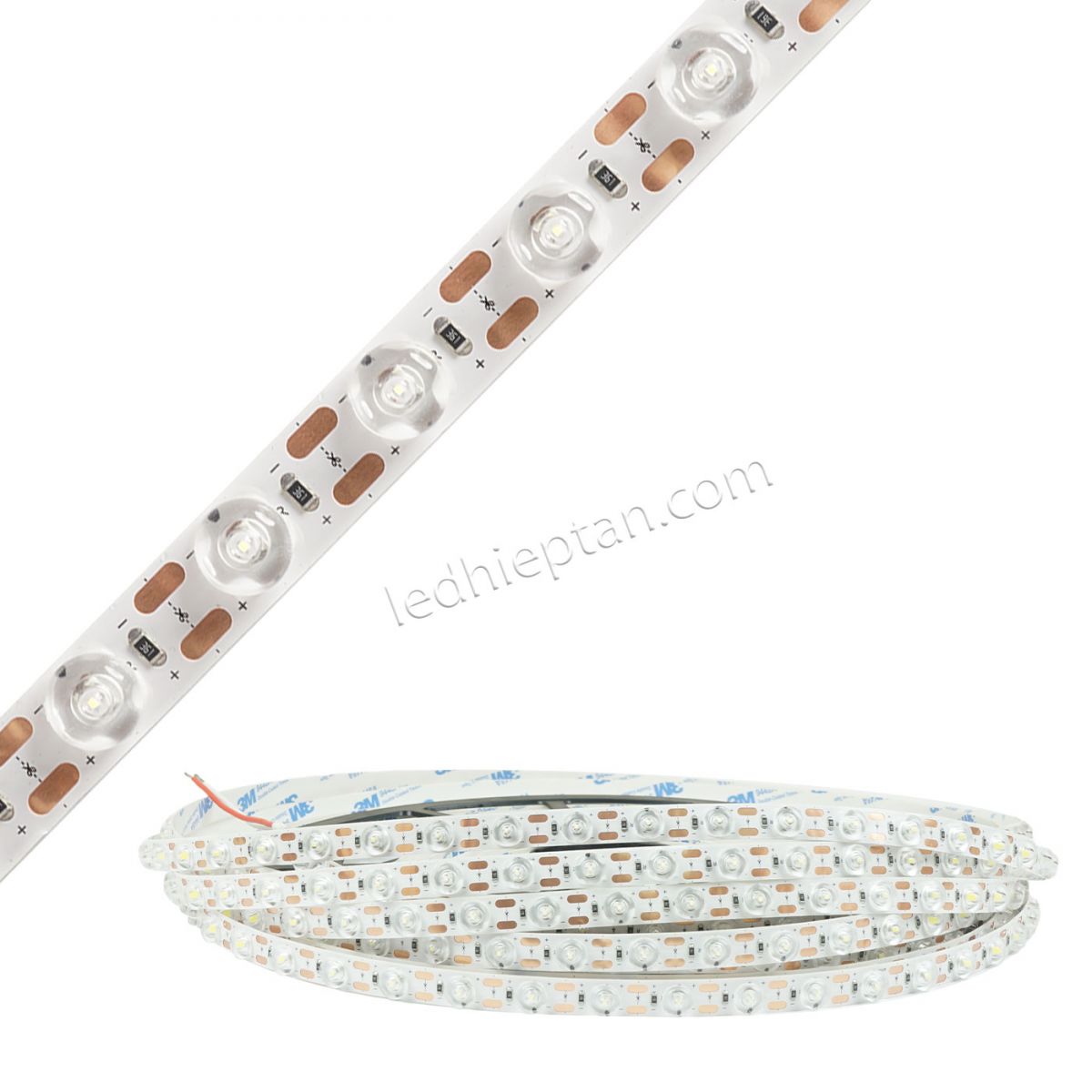 LED dây có len 24V - 48D- 12mm 18W/M 6500K CS