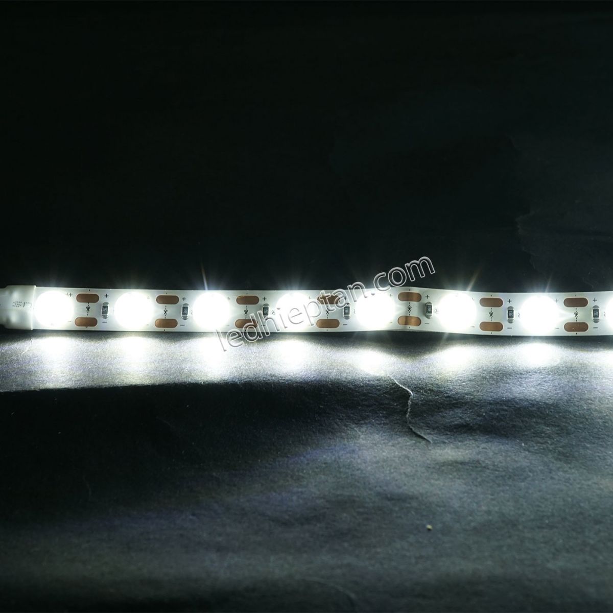 LED dây có len 24V - 48D- 12mm 18W/M 6500K CS