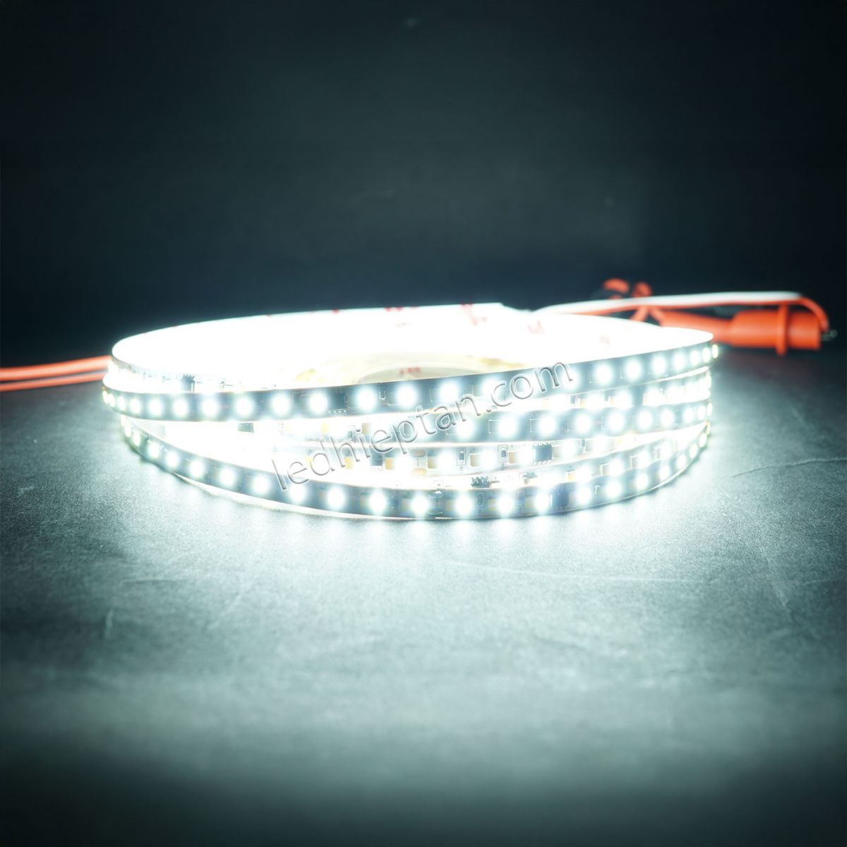 LED dây trắng trắng ấm 2835 192LED/m 220V cuộn 10m TX