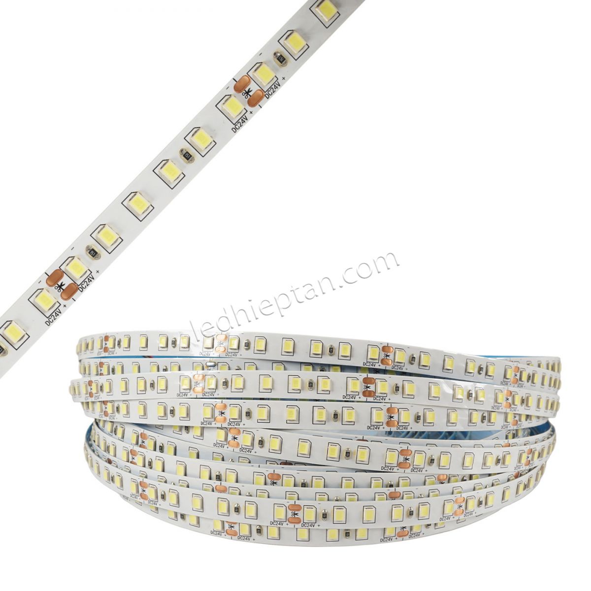 LED dây 24V (1 cuộn 10m)