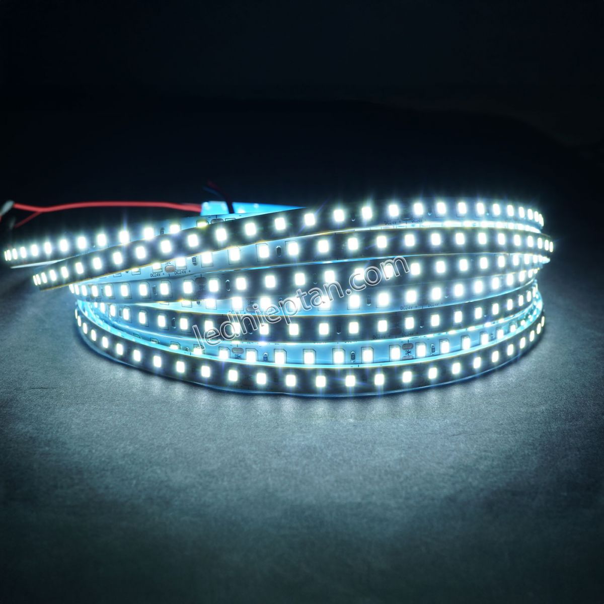 LED dây 24V (1 cuộn 10m)