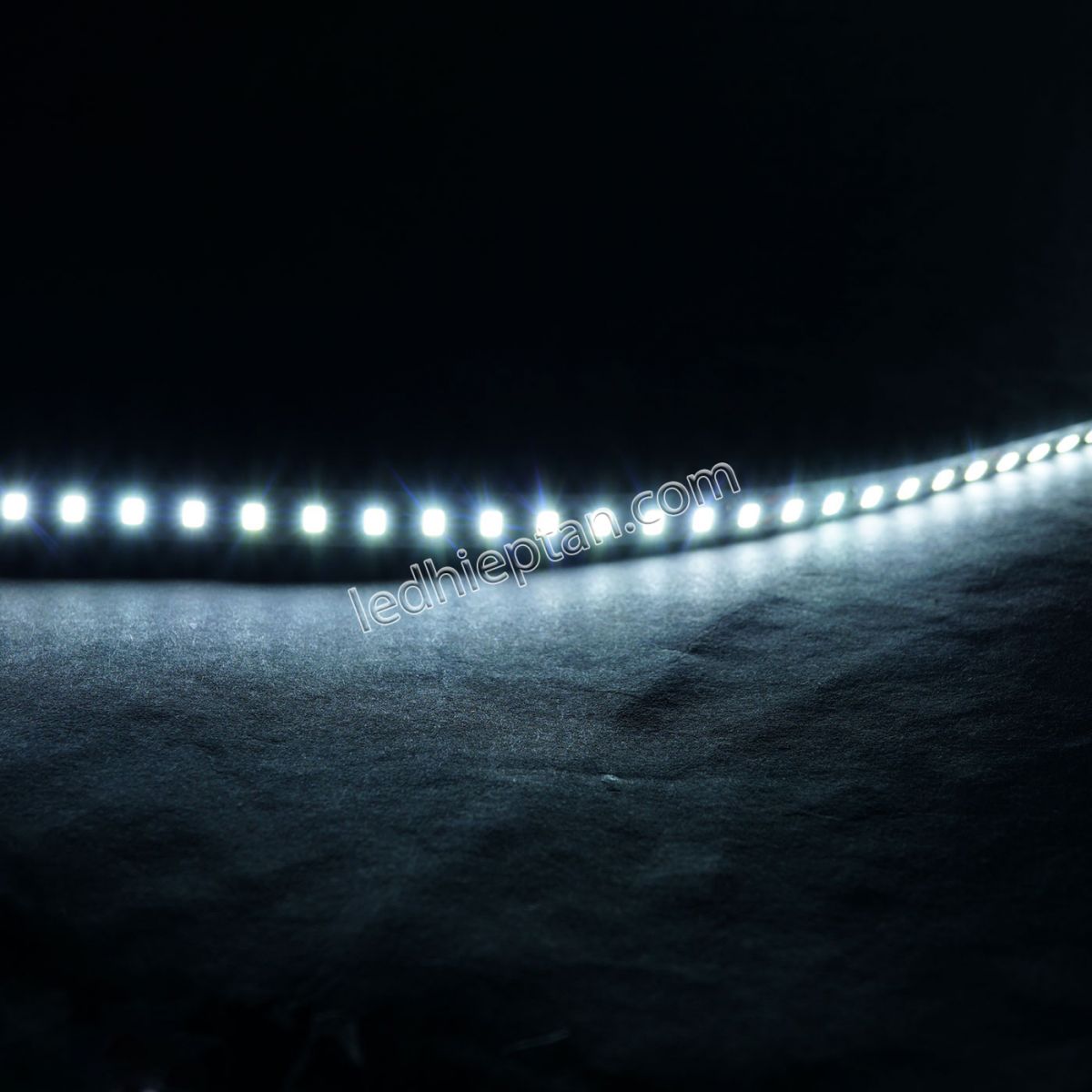 LED dây 24V (1 cuộn 10m)