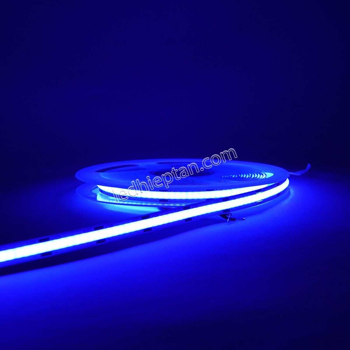 LED dây COB320 led DƯƠNG IP20 12V 5m
