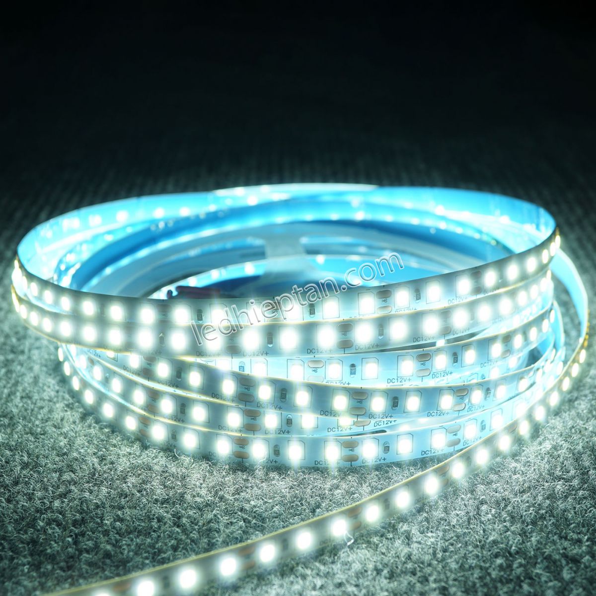 LED dây 3528 trắng 120 led IP20 12V 5m/c