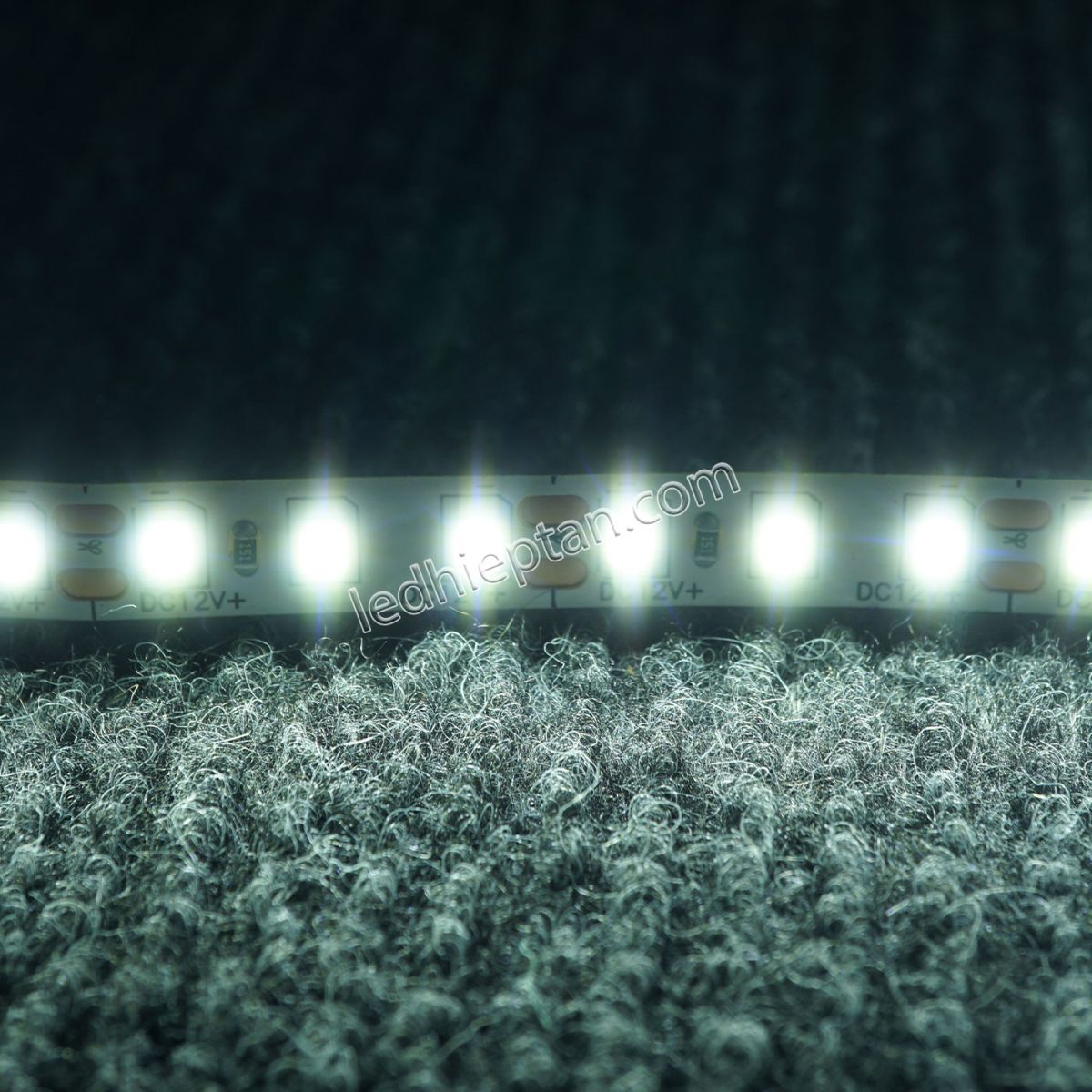 LED dây 3528 trắng 120 led IP20 12V 5m/c