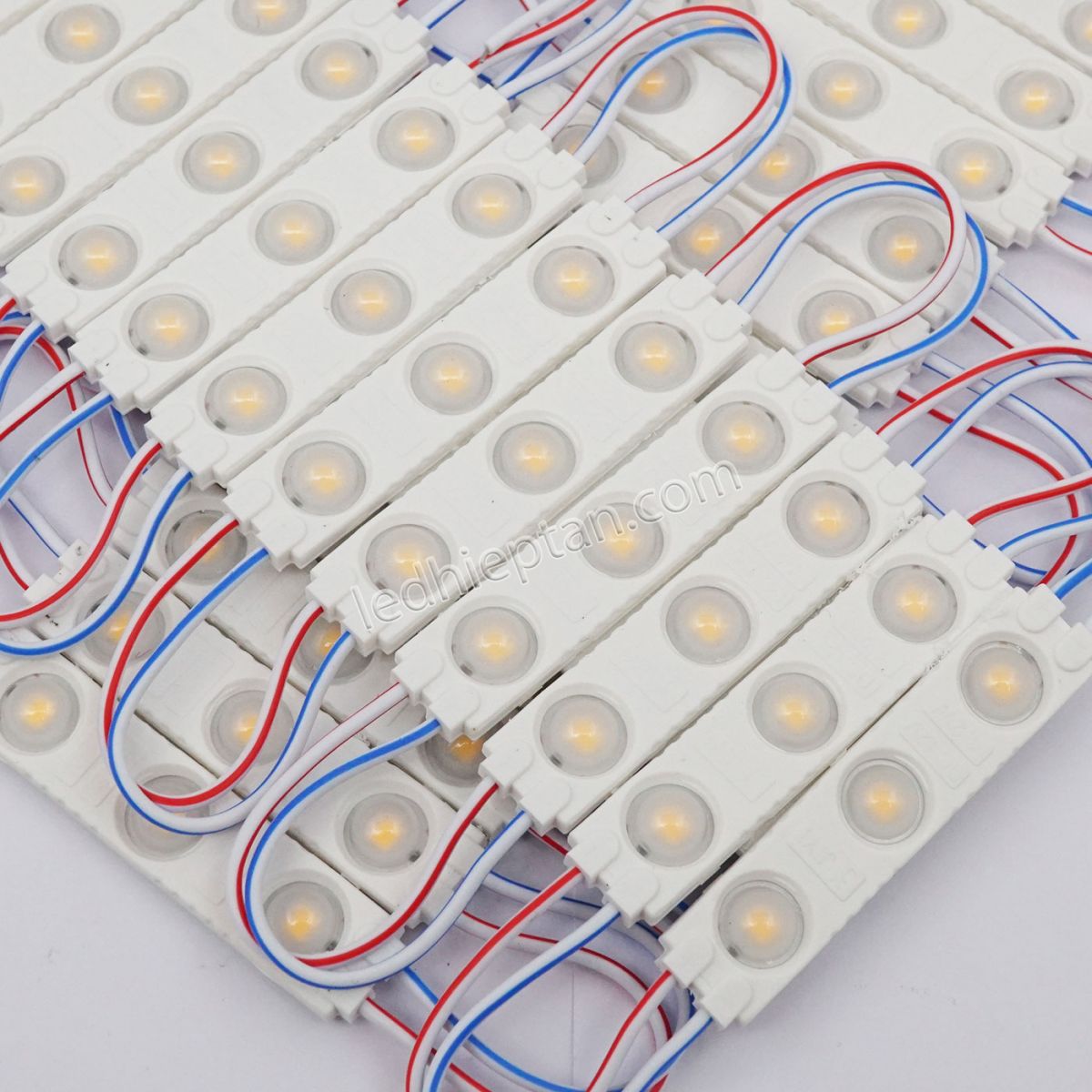 Module 3 bóng Trắng ấm SMD2835 6113-A len đục LR