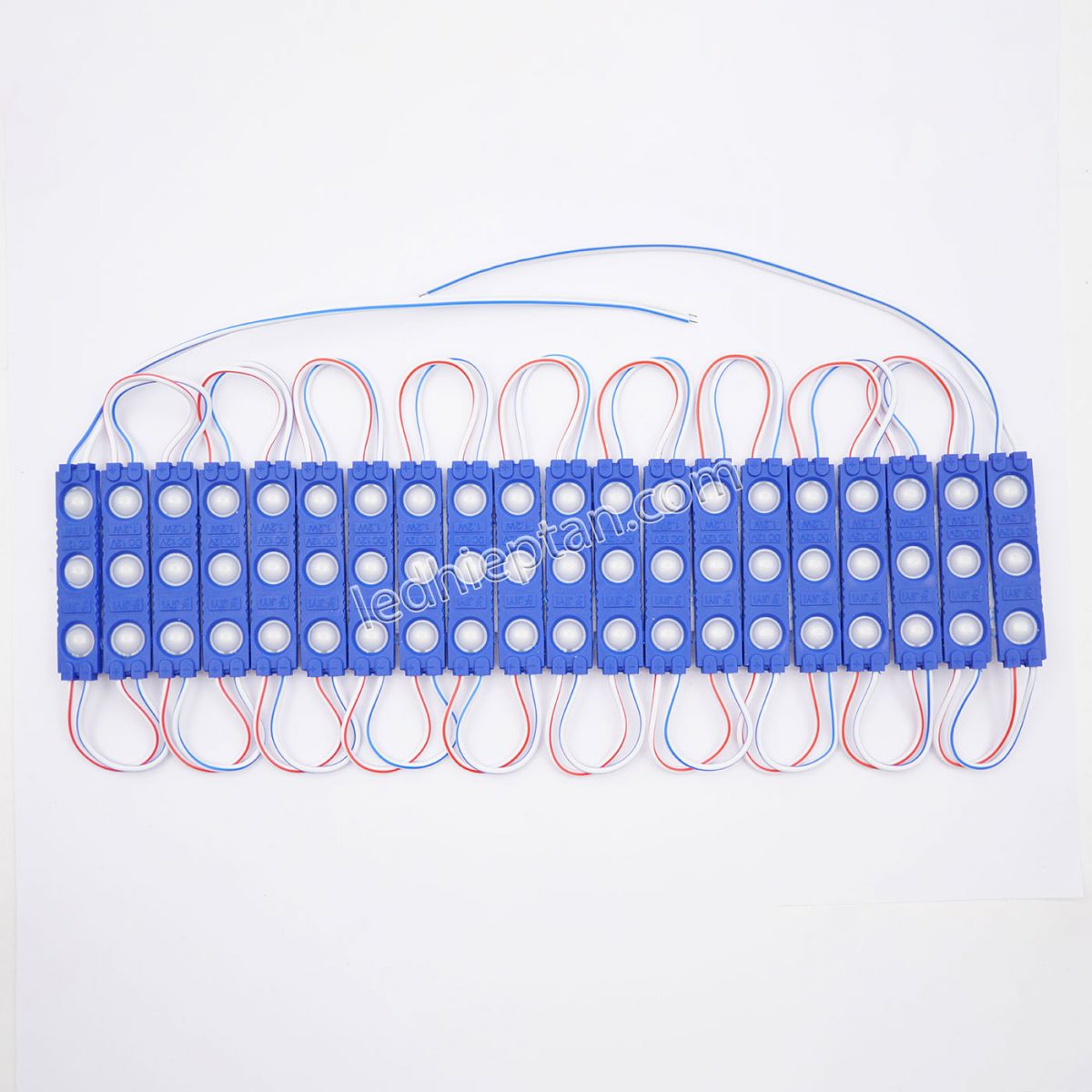 Module 3 bóng Dương SMD2835 6113-A len đục LR