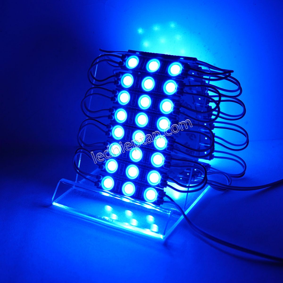 Module 3 bóng Dương SMD2835 6113-A len đục LR