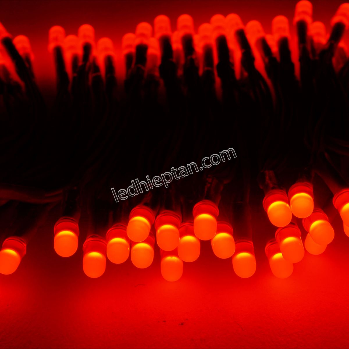Bịch LED ruồi 5mm 5V ĐỎ dây 4cm LR