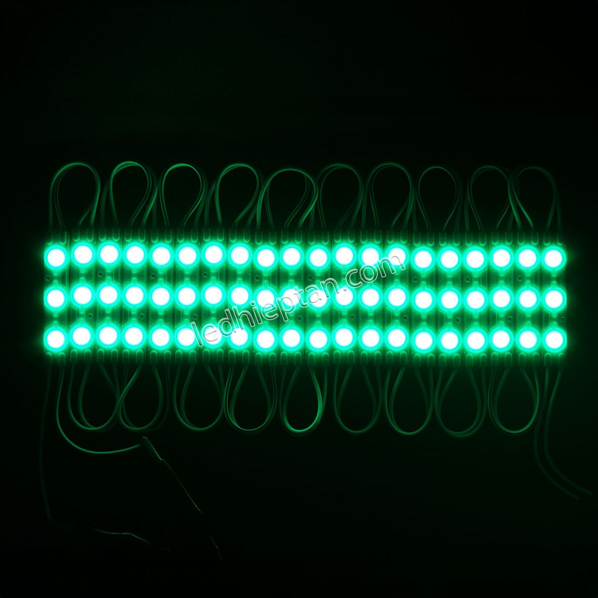 Module 3 bóng Lá 6011 len đục YLED