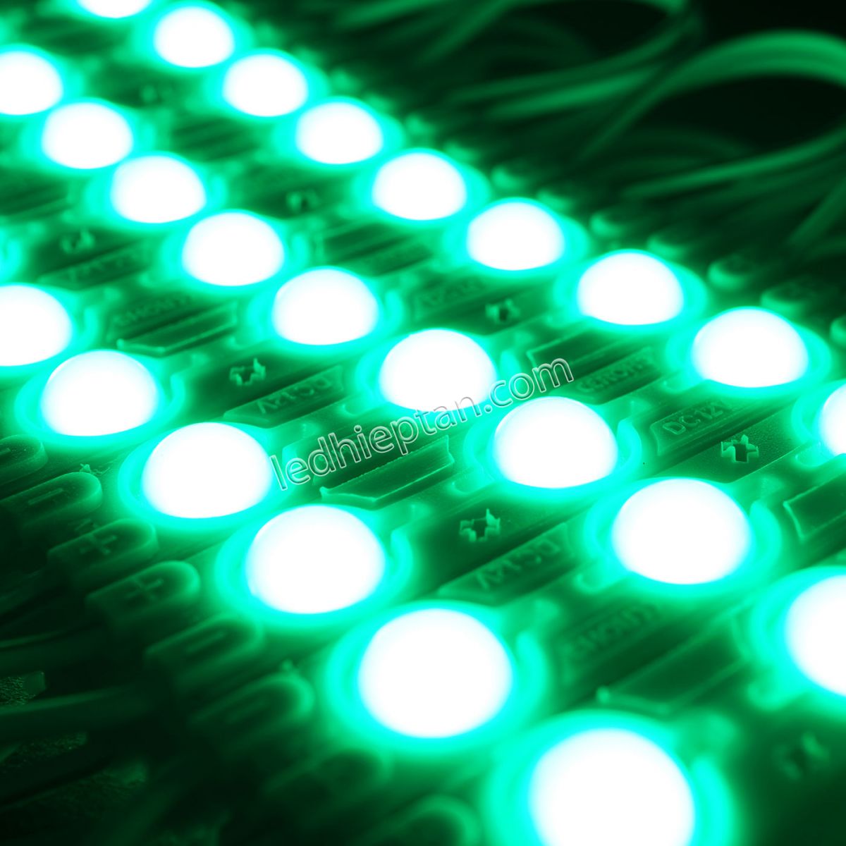 Module 3 bóng Lá 6011 len đục YLED