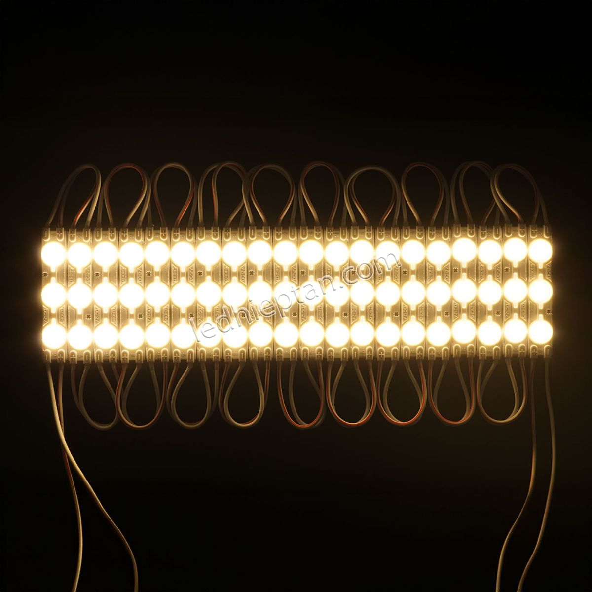 Module 3 bóng Trắng 6011 len đục YLED