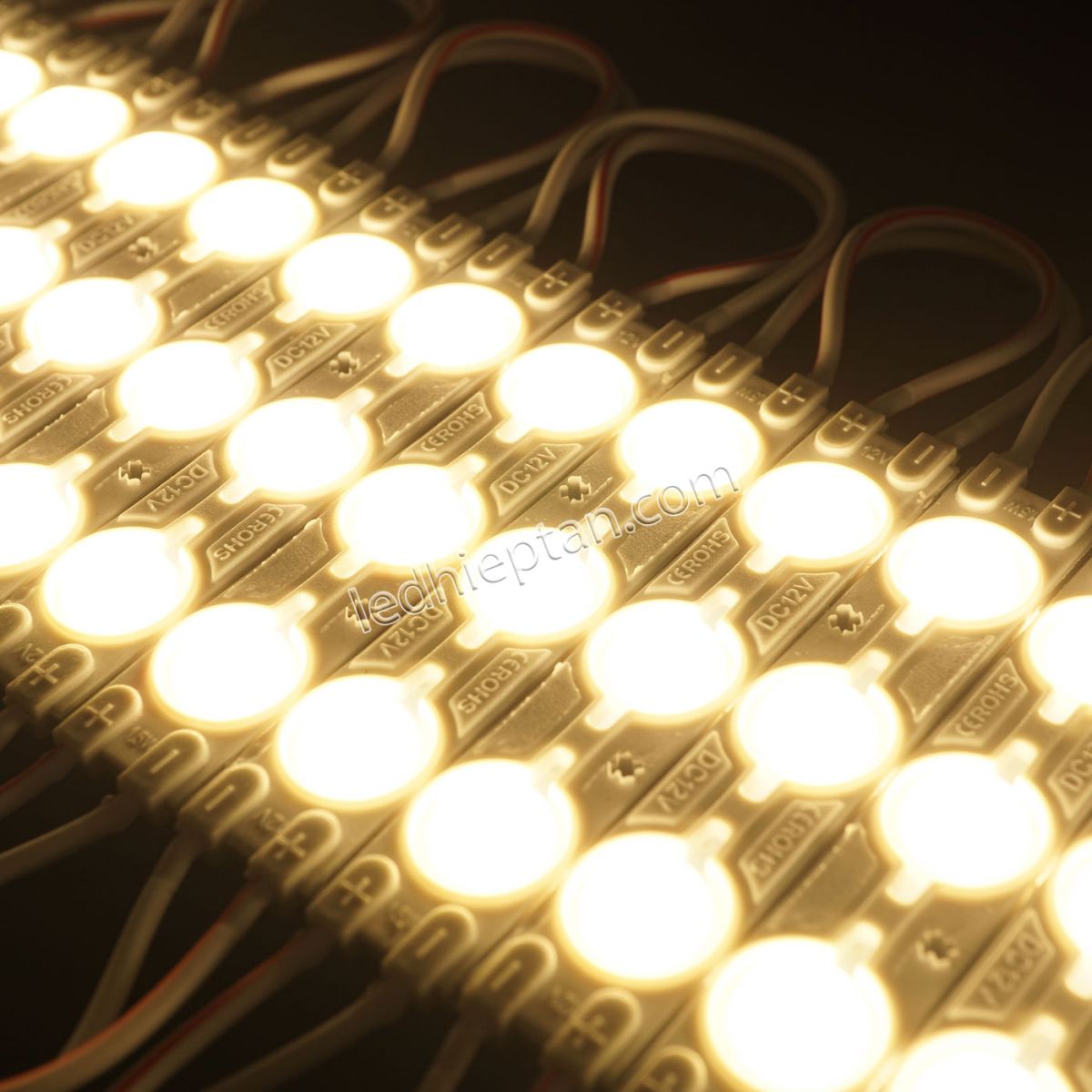 Module 3 bóng Trắng 6011 len đục YLED