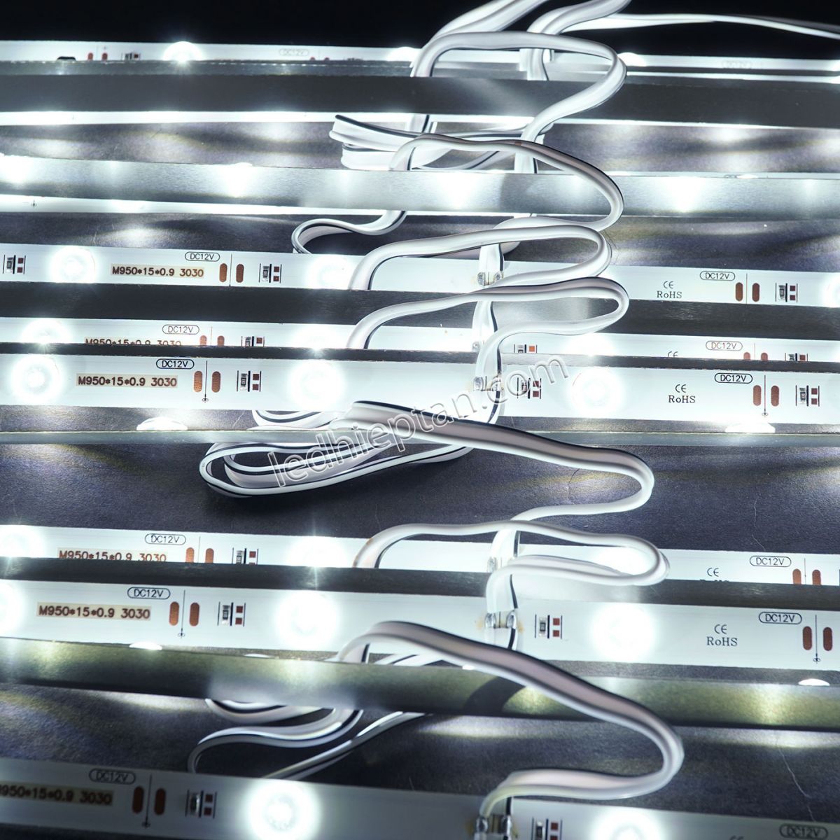 LED cây hộp đèn trong nhà (1 bó 20 cây) LR